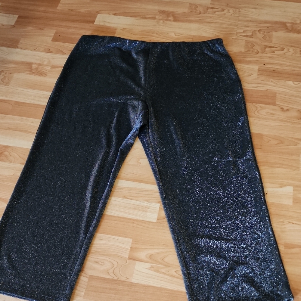 Wide Legg Sparkly Dress Pants.size3x